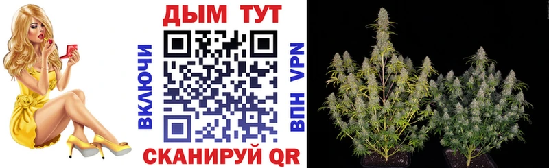 Где купить наркоту Сосновоборск blacksprut tor  Марихуана  Мефедрон  ГАШИШ 