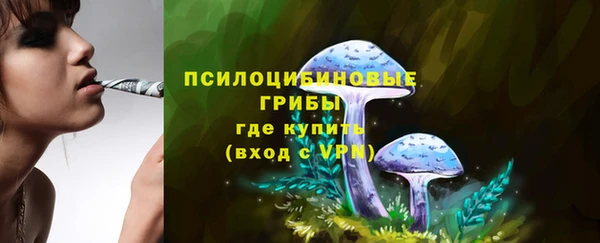 MDMA Premium VHQ Карталы