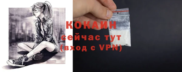 МДПВ Кодинск