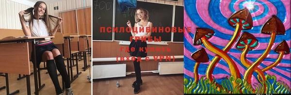 MESCALINE Коряжма