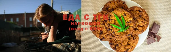 СК Ельня