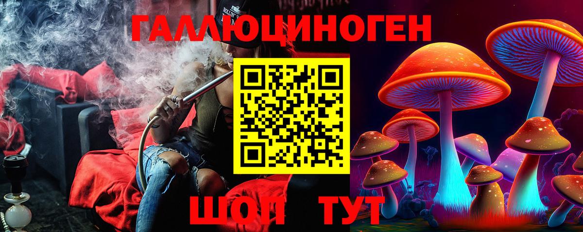 Псилоцибиновые грибы Psilocybine cubensis Сосновоборск