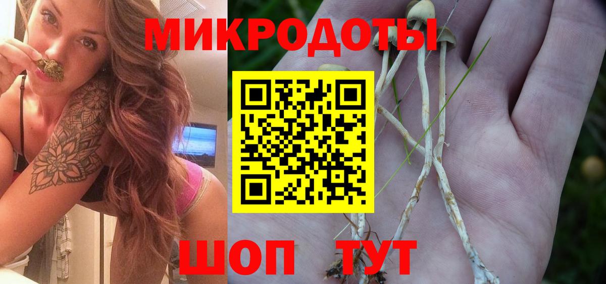 Псилоцибиновые грибы прущие грибы  где купить   Сосновоборск  Галлюциногенные грибы GOLDEN TEACHER 
